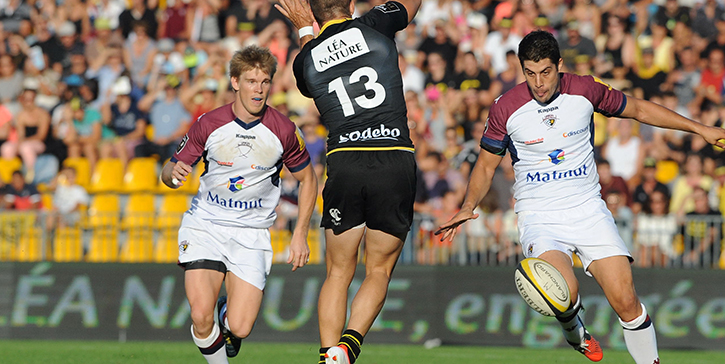 Pierre Bernard xv de france - 2014 Pierre Bernard xv de france